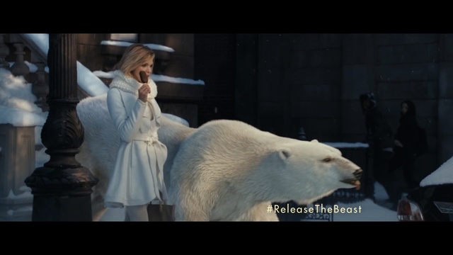Video Reference: polar bear, mammal, polar bear, bear, screenshot, Person