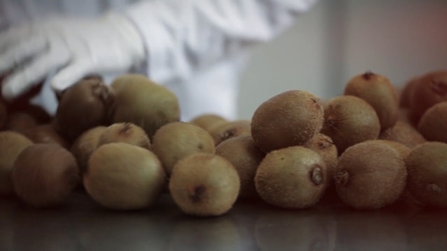 Video Reference: Food, Fruit, Plant, Produce, Langsat, Longan, Ingredient, Side dish, Macadamia