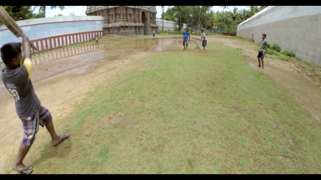 Video Reference: Lawn, Grass, Land lot, Yard, Photography, Sporting Group, Recreation, Walking, Canidae, Guard dog, Person