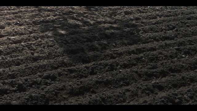 Video Reference: Black, Brown, Soil, Atmosphere, Sky, Grass, Pattern, Granite, Rock