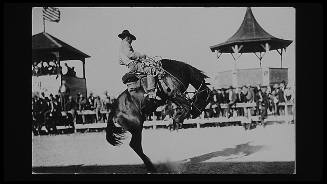 Video Reference: Horse, Working animal, Bridle, Horse tack, Sky, Pack animal, Sports, Rein, Font, Horse supplies