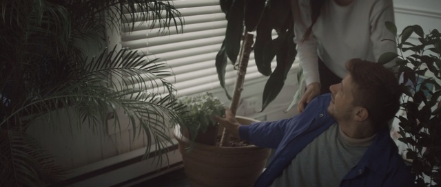 Video Reference: tree, darkness, human, screenshot, plant, world