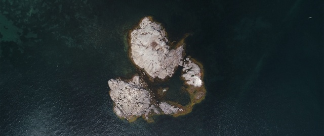 Video Reference: Organism, Tree, Photography, Plant, Mineral, Rock, Metal