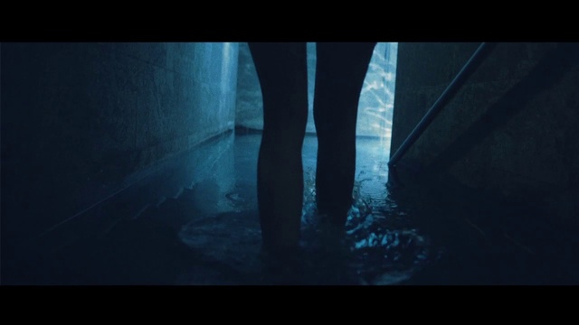 Video Reference: Black, Blue, Water, Darkness, Light, Atmosphere, Sky, Leg, Tree, Photography