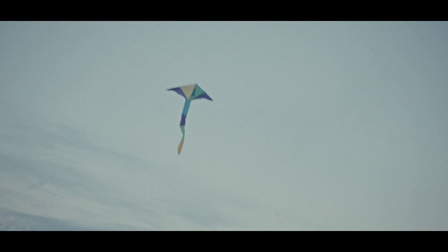 Video Reference: Sport kite, Kite, Kite sports, Sky, Wind, Sports equipment