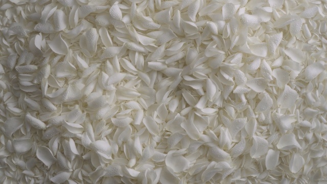 Video Reference: White, Textile, Petal, Pattern