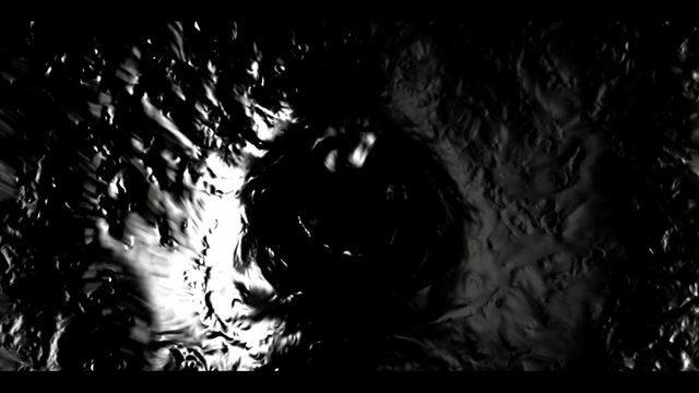 Video Reference: Black, Darkness, Water, Black-and-white, Monochrome photography, Monochrome, Photography, Tree, Fiction, Fictional character