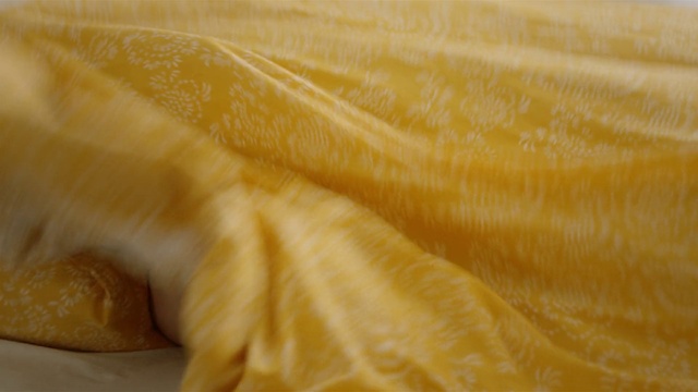 Video Reference: Yellow, Close-up, Food, Dish, Cuisine