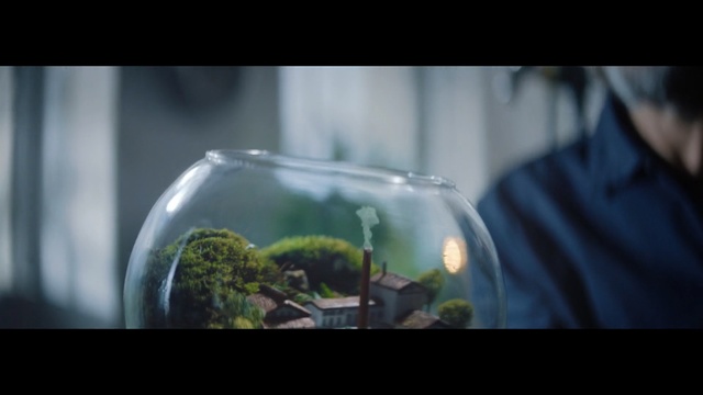 Video Reference: Nature, Water, Green, Glass, Glass bottle, Organism, Leaf, Photography, Plant, Tree