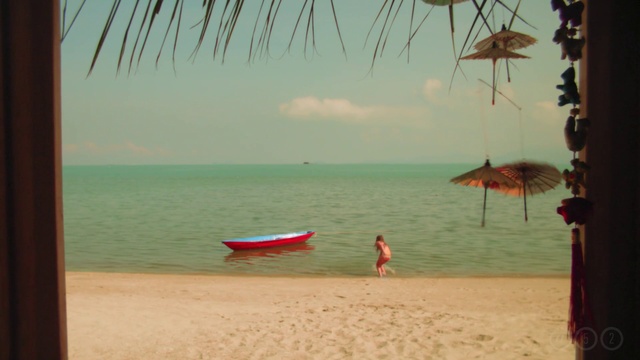 Video Reference: Beach, Vacation, Shore, Sea, Ocean, Palm tree, Summer, Tree, Coast, Caribbean