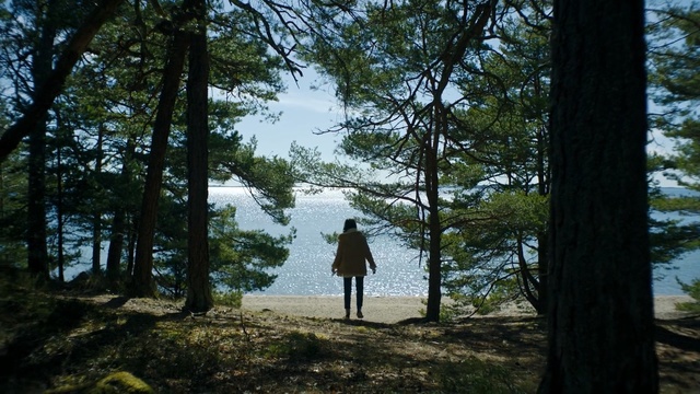 Video Reference: Tree, Nature, Natural environment, Sky, Wilderness, Forest, Woody plant, Plant, Branch, Vacation, Person