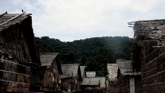 Video Reference: landscape, Person