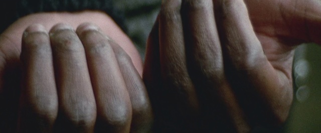 Video Reference: Finger, Hand, Nail, Close-up, Wood, Thumb, Indoor, Person, Sitting, Close, Table, Holding, Cat, Food, Wooden, Fruit, Standing, Man, White, Laying, Phone, Toe, Nude