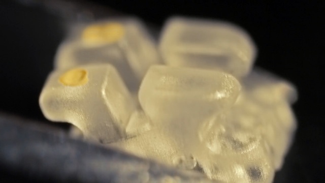 Video Reference: macro photography, close up, jaw