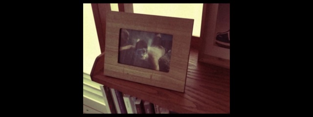 Video Reference: Photograph, Wood, Hardwood, Picture frame, Room, Snapshot, Art, Photography, Furniture, Still life photography