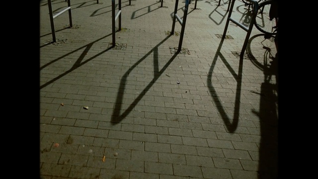 Video Reference: wall, shadow, text, light, road surface, line, tree, darkness, sunlight, sky, Person