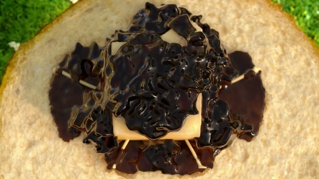 Video Reference: membrane winged insect, insect, invertebrate, pest