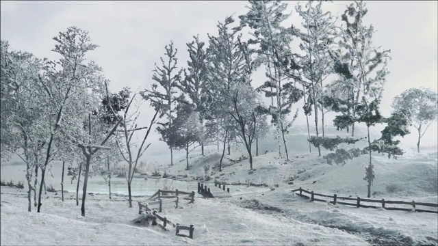 Video Reference: snow, winter, freezing, tree, black and white, winter storm, blizzard, frost, geological phenomenon, monochrome, Person