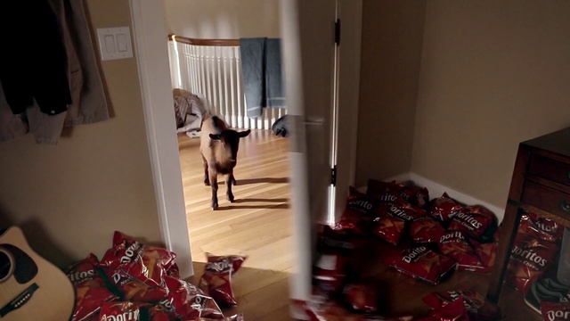 Video Reference: Room, Property, Interior design, Floor, Curtain, Window treatment, House, Living room, Window covering, Flooring