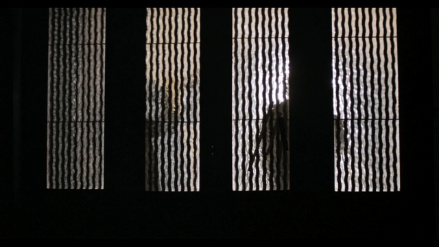 Video Reference: Line, Architecture, Tints and shades, Window, Pattern, Rectangle, Symmetry, Black-and-white, Parallel, Monochrome