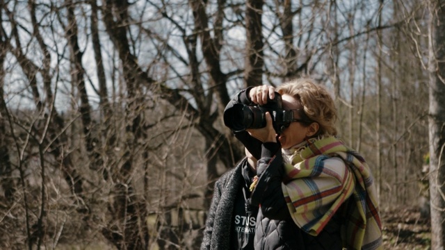 Video Reference: tree, nature, woody plant, plant, vertebrate, woodland, forest, photography, interaction, adventure
