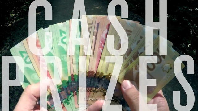 Video Reference: art, font, graphic design, brand, advertising