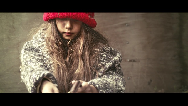 Video Reference: lady, beauty, girl, headgear, long hair, portrait photography, fun, fur, brown hair, smile, Person