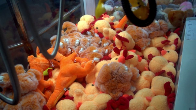 Video Reference: Organism, Stuffed toy, Cuisine, Fish, Person, Indoor, Food, Table, Bear, Filled, Stuffed, Sitting, Display, Many, Store, Holding, Woman, Large, Group, Standing, White, Reef, Aquarium, Marine invertebrates, Toy, Animal, Cluttered