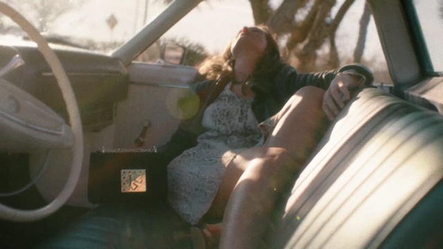 Video Reference: Vehicle, Vehicle door, Car, Steering wheel, Plant