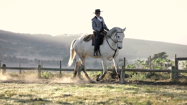 Video Reference: horse, bridle, rein, english riding, equestrianism, hunt seat, stallion, horse like mammal, mare, outdoor recreation, Person