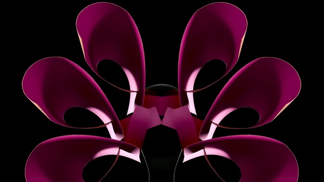 Video Reference: pink, purple, flower, magenta, violet, petal, symmetry, computer wallpaper, pollinator, moths and butterflies