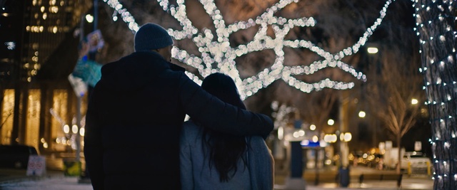 Video Reference: Photograph, Tree, Lighting, Winter, Snapshot, Branch, Night, Human, Christmas lights, Plant, Person