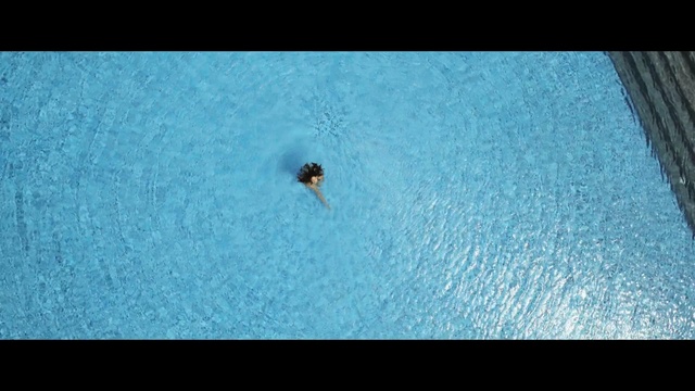 Video Reference: Blue, Azure, Insect, Turquoise, Organism, Pest, Parasite