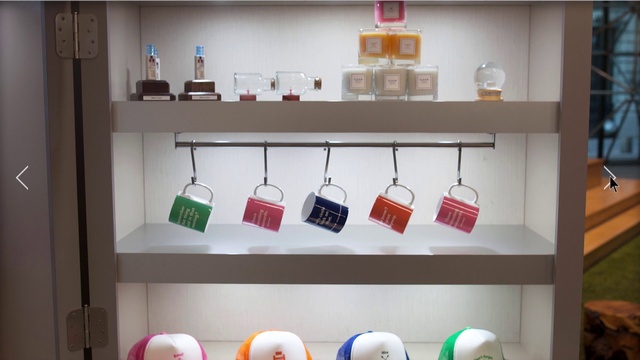 Video Reference: Shelf, Shelving, Room, Furniture, Interior design, Glass, Display case