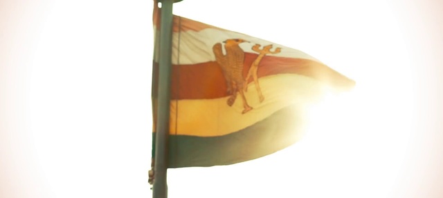 Video Reference: Flag