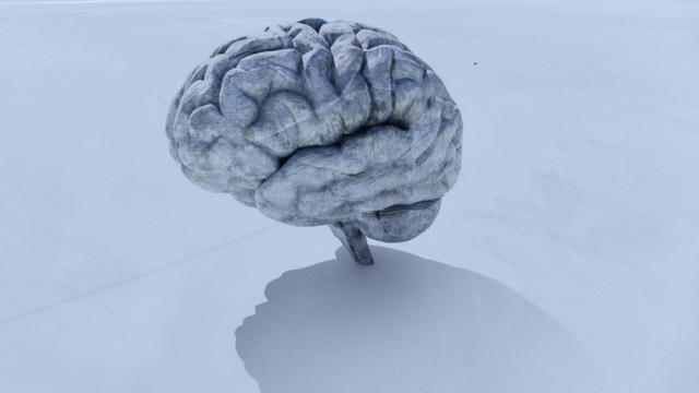 Video Reference: Brain, Brain, Organ, Organism, Human body, Animation, Plant, Food