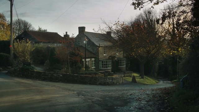 Video Reference: house, home, residential area, property, sky, tree, suburb, town, cottage, estate