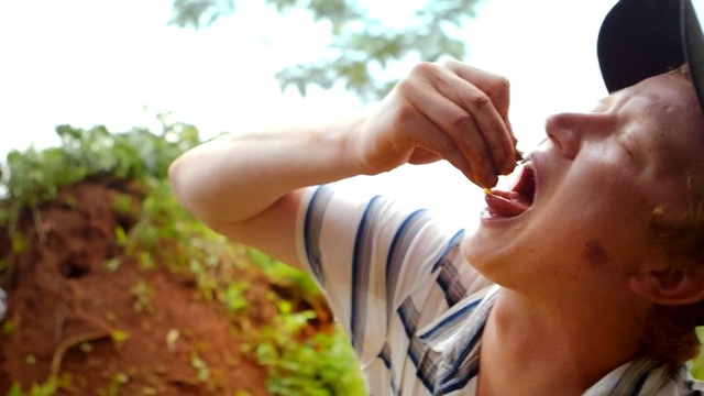 Video Reference: People in nature, Hand, Finger, Grass, Gesture, Plant, Thumb, Child