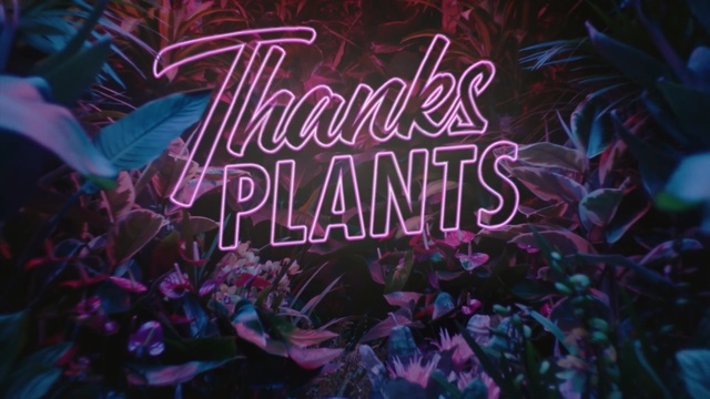 Video Reference: Font, Text, Pink, Purple, Graphic design, Magenta, Graphics, Art, Psychedelic art, Calligraphy