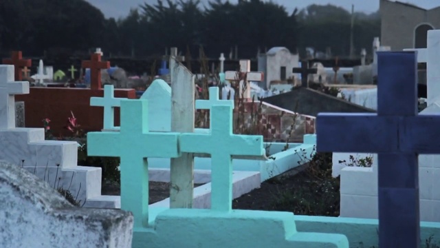 Video Reference: Cemetery, Blue, Grave, Tree, Photography, World, Headstone