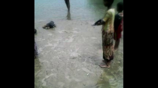 Video Reference: Water, Water resources, Mud, Crocodilia, Floor, Crocodile, Duck, Water bird