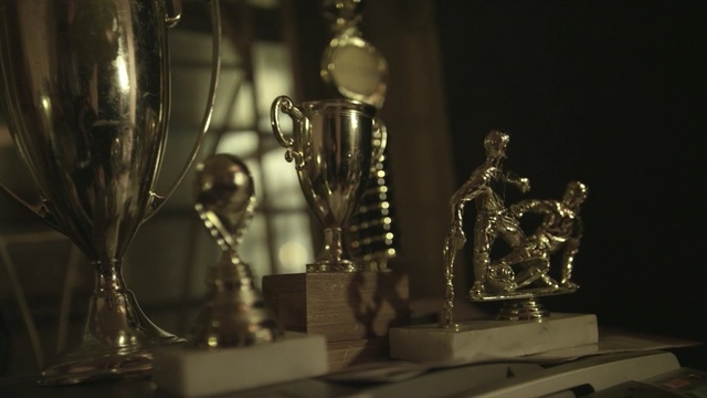 Video Reference: trophy, tourist attraction, museum, brass, Person