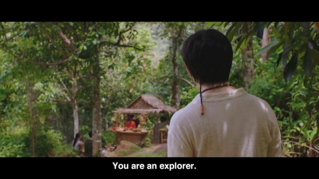 Video Reference: Nature, Photograph, Jungle, Natural environment, Tree, Forest, Leaf, Adaptation, Photography, Human