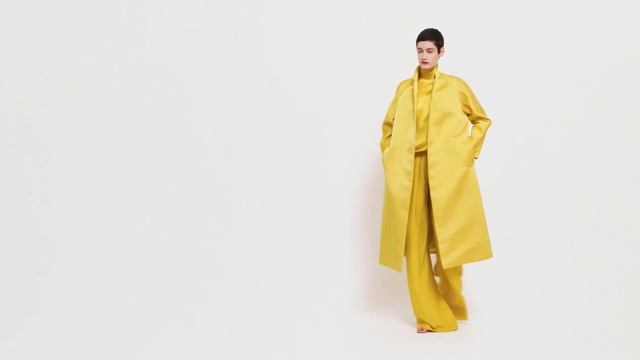 Video Reference: yellow, clothing, fashion model, outerwear, coat, formal wear, costume, fashion design, Person