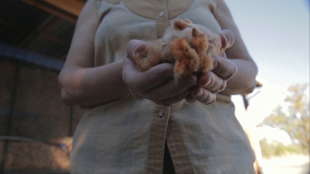 Video Reference: hand, human, finger, girl