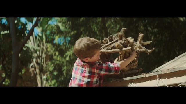 Video Reference: Photograph, Nature, People, Tree, Fun, Natural environment, Snapshot, Photography, Leaf, Human