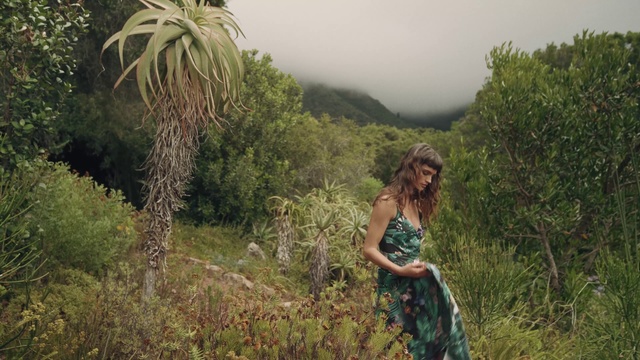 Video Reference: People in nature, Nature, Vegetation, Natural landscape, Natural environment, Tree, Forest, Jungle, Grass, Adaptation