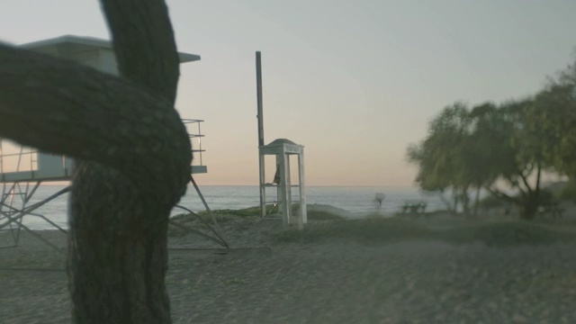 Video Reference: property, morning, fog, tree, land lot, sky, area, wind, haze