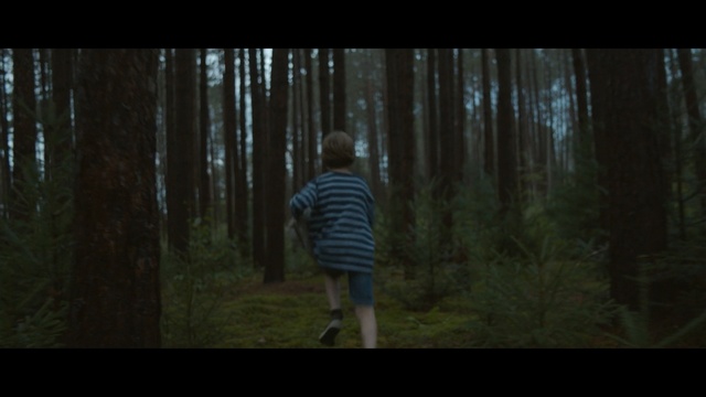 Video Reference: Woodland, Nature, Forest, Natural environment, Tree, Darkness, Green, Wilderness, Biome, Screenshot