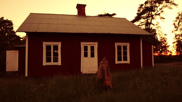 Video Reference: House, Home, Property, Building, Shed, Cottage, Roof, Rural area, Siding, Log cabin